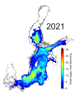 Karta 2021 - antal dagar då cyanobakterier detekterats från satellit.