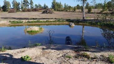 Exempel på damm skapad för nyanlagd jordbruksmark. Stora Tollby gård, Gotland