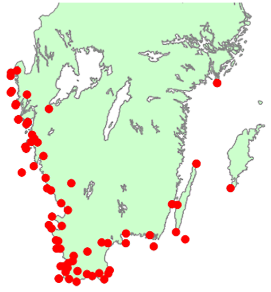 Kartan visar de stationer där den meteorologiska sommaren varat ända in i november.