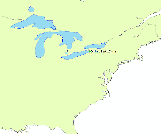 Bilden visar en karta över USA med orten Orchard park markerad.