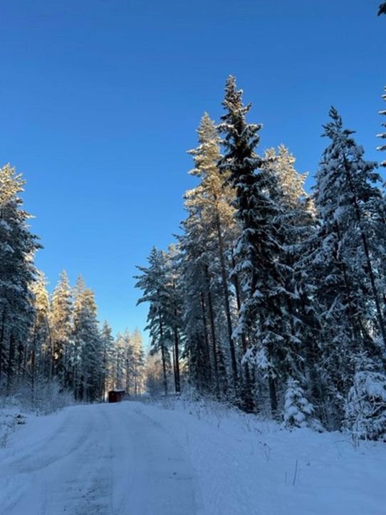 Julafton 2022 blev vit norr om Mälardalen. Här vid sjön Smälingen i Dalarna.