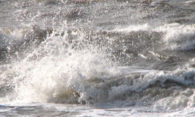 vågor och högt havsvattenstånd 