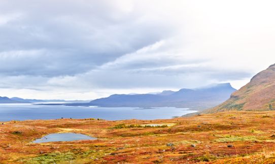 View over lake Torneträsk in northern Scandinavian mountains, with autumn coloured vegetation in the foreground