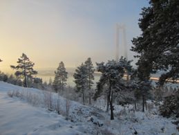 Högakustenbron skymtar genom dimmoln på förmiddagen den 23 december