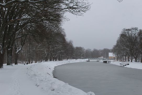 Snö över Göta kanals bankar, kantade med sina karaktäristiska trädallé, vy mot Malforsbron