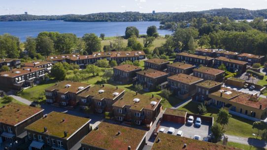 Flygbild över villaområde med hus med gröna tak (grästak).