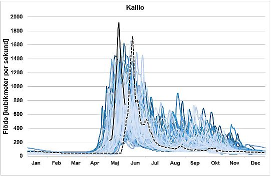 Samlingsgraf över alla års mätningar i Kallio där det blir tydligt att årets flöde sticker ut och överträffar tidigare vattenflöden.