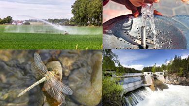 Collage av olika användningsområden för vatten