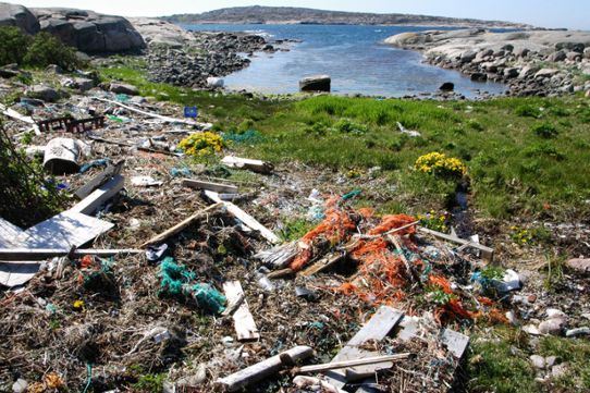 Skräp, särskilt plast, i havet är ett växande problem.