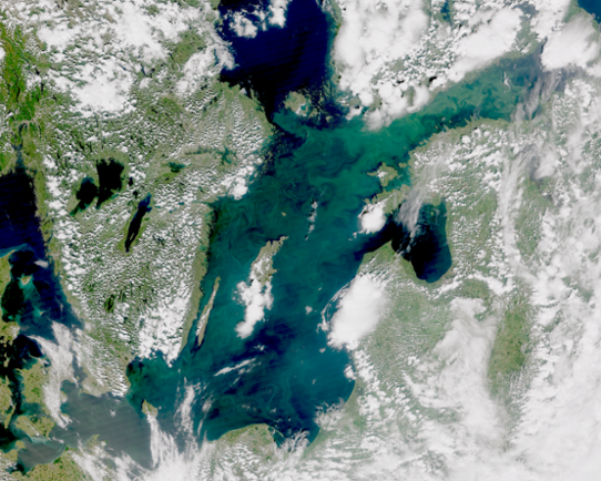 Satellitbild från 28 juni 2023 där algblomingar syns tydligt över hela Östersjön, Skärgårdshavet, Ålands Hav, Finska viken och även i Hanöbukten.