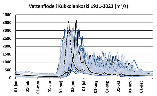 Graf över flödet vid stationen Kukkolankoski, 2023 års flöde är nästan lika högt som 1968 och det kommer tidigare på året.