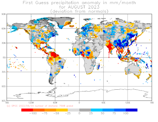Bilden visar en världskarta med nederbördens avvikelse från det normala i augusti 2023.