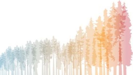 En illustration av skuggor av träd i olika färger och storlekar.