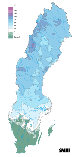Sverigekarta som visar snödjupet den 31 december 2023.