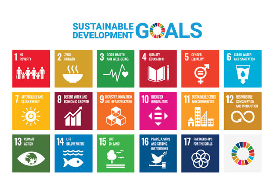 The Sustainable Development Goals, source:https://sdgs.un.org/goals.