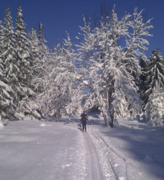 Fina skidspår i Orsa-Grönklitt i februari 2012.