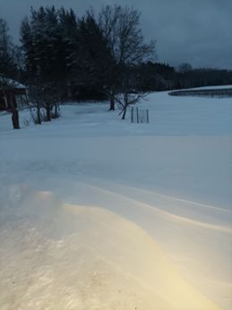 Snödjupsmätning i Sköldinge den 15 januari 2024