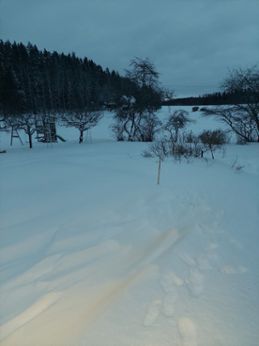 Snödjupsmätning i Sköldinge den 15 janauri 2024