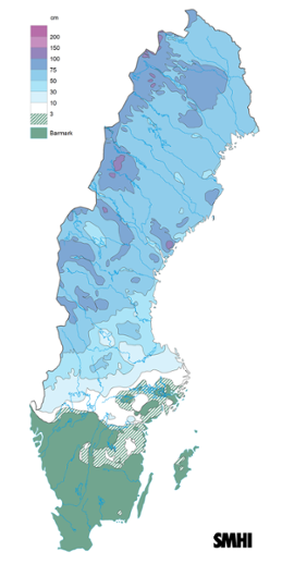 Sverigekarta som visar snödjupet den 31 januari 2024.