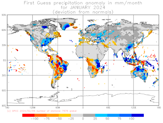 Bilden visar en världskarta med nederbördens avvikelse från det normala i januari 2024.