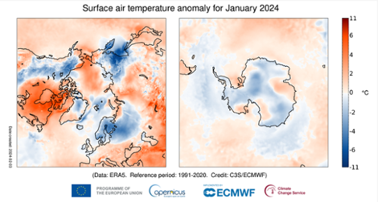 Bilden visar kartor över temperaturavvikelsen i januari 2024 för Arktis respektive Antarktis.