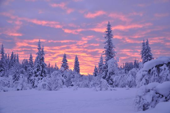 Vinterlandskap med solbelysta moln i Sälenfjällen