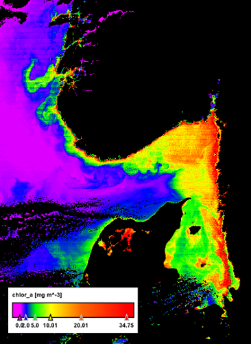 Satellitbild vårblomning 2013