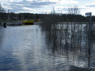 Översvämning vid färjelägret i Lannvaara 24 maj 2013.