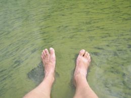Fötter i algblomning