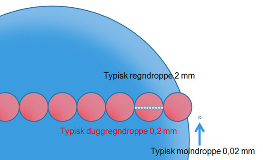 Jämförelse av droppstorleken mellan typiska regndroppar, duggregndroppar och molndroppar. 