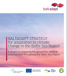 Balticstrategy