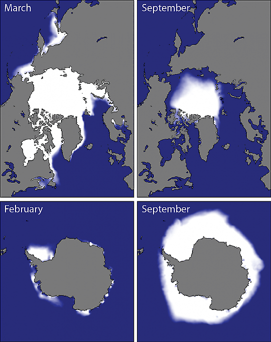 Antarktis vs Arktis