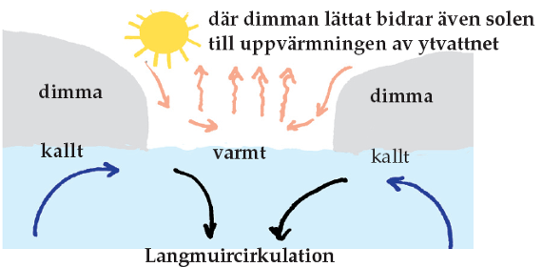 Illustration som visar en tänkbar förklaring till dimfenomenet
