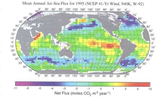Karta som visar havens nettoflöde av koldioxid