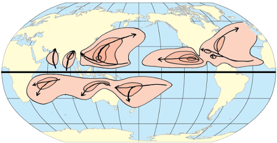 Världskarta som visar var tropiska cykloner förekommer