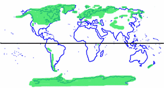 Världskarta som visar en grov uppfattning över den största omfattningen av de senaste nedisningarna