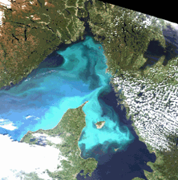 Algblomning i Västerhavet, satellitbild