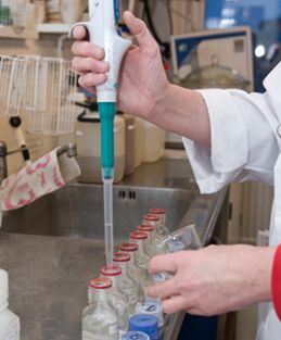 I laboratoriet testas vattnet (Östersunds kommun).