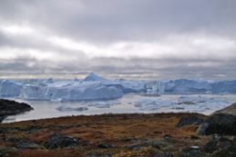 Isberg i Arktis