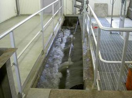 Avloppsvatten som passerat rensgallret i avloppsreningsverket, som bräddas internt, och är på väg till högflödesreningen.