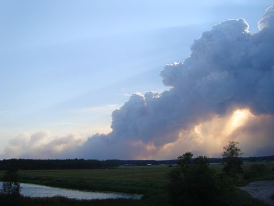 Pyrocumulusmoln i Brovallen den 4 augusti.