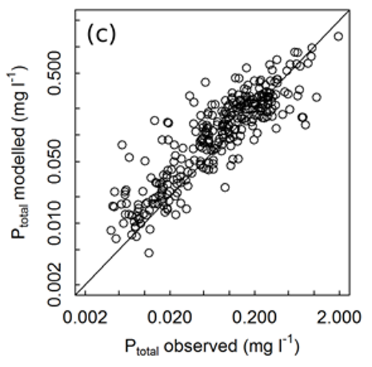 Correlation phosphorus concentration E-HYPE2.1