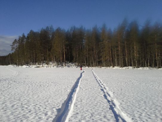 Snö på Navarn 2014-02-07