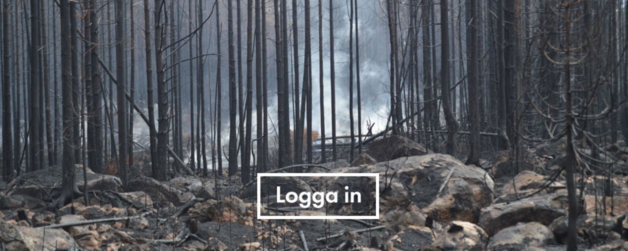 Logga in till informationssystemet Brandrisk i skog och mark