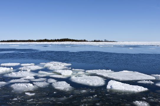 Is vid en Östersjöstrand