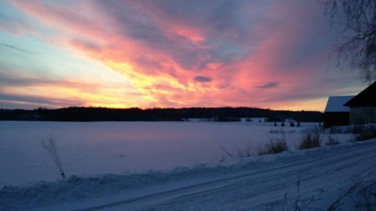 Soluppgång i Väse, Värmland den 13 januari.